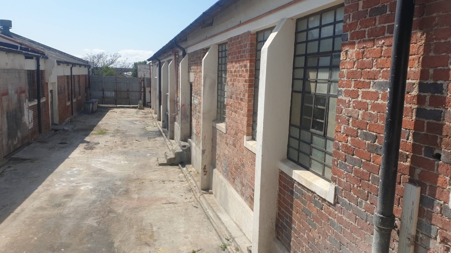 To Let Commercial Property for Rent in Salt River Western Cape